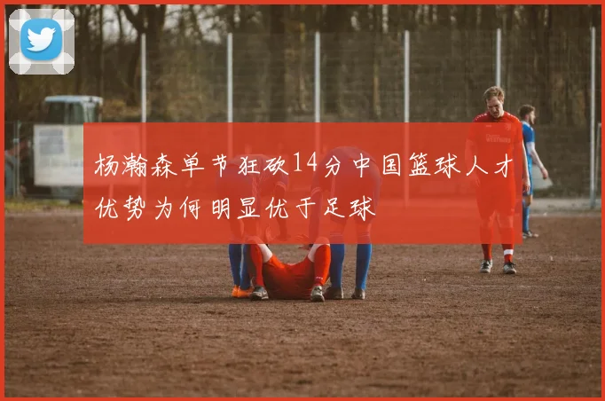 杨瀚森单节狂砍14分中国篮球人才优势为何明显优于足球
