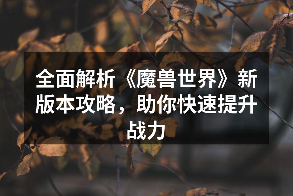 职业选择与玩法分析